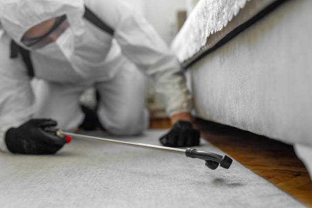Professional Termite Control technician working in Lakeside, TX
